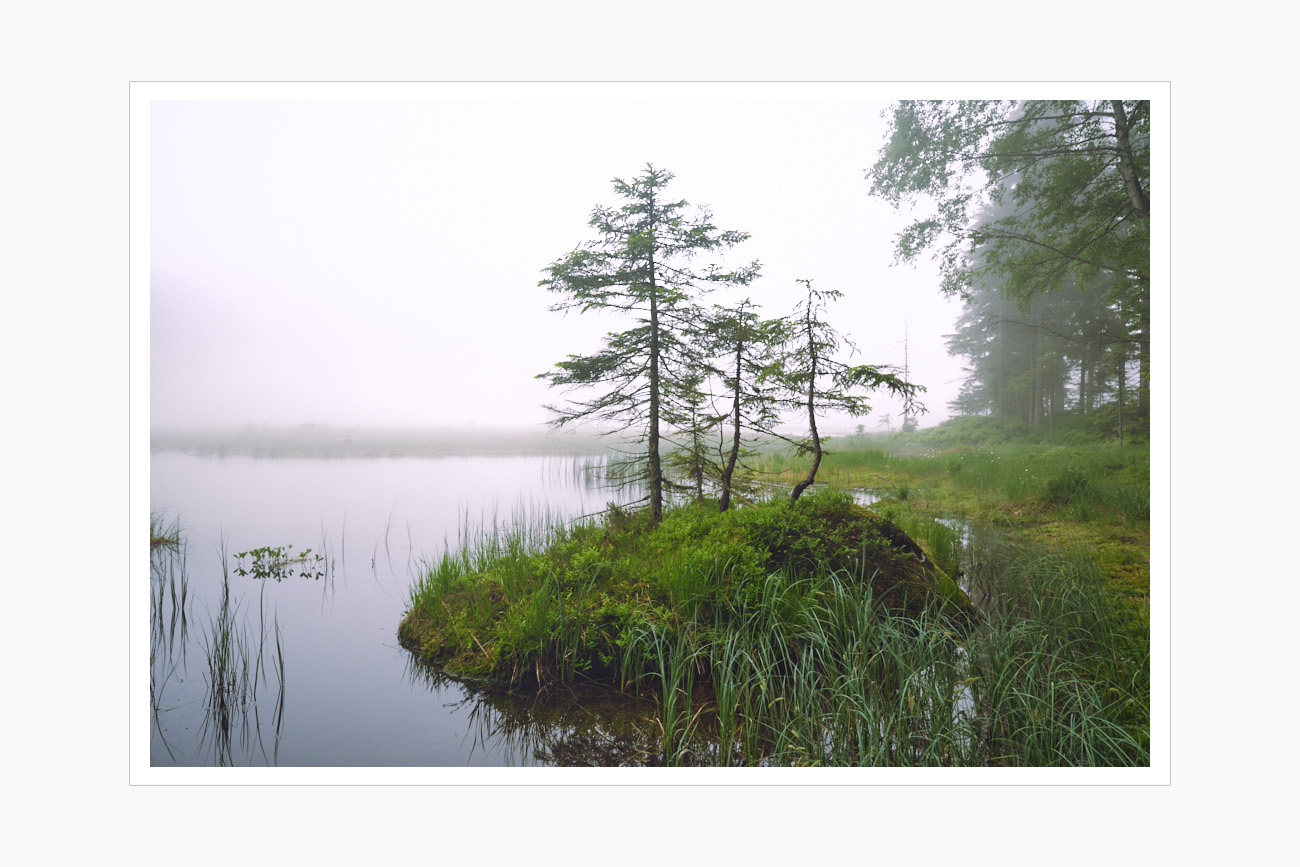 Max Schiefele Alle Bilder DSC00054